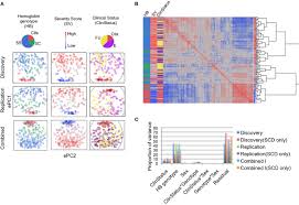 Frontiers Genomic Architecture Of Sickle Cell Disease In