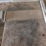 exceptional carpet cleaning 1300 nw