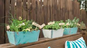 How To Plant A Mini Herb Garden