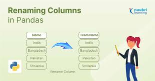 renaming columns in pandas shiksha