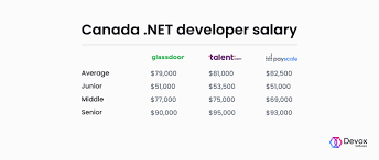 Net Developer Salary Guide Based On