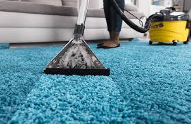 how to choose the best carpet cleaner