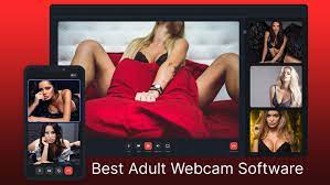 Adult webcam