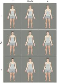 Normal, healthy body fat percentages for men and women are different as men and women's bodies are designed differently. Is This Your Dream Physique Science Finds The Attractive Level Of Body Fat 9coach