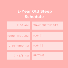 12 month old sleep schedule naps bed