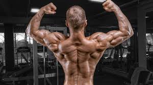 the best 30 minute back workout for
