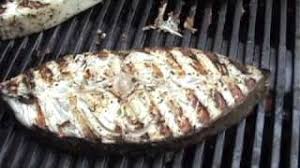 halibut steaks on the grill you