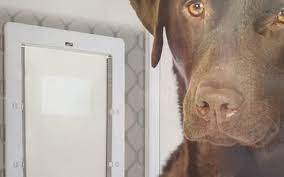 Large Dog Door For Screens Supplied