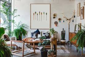 indoor plants decor ideas