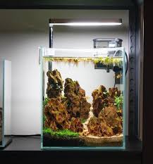 5 Gallon Nano Tall Rimless Aquarium