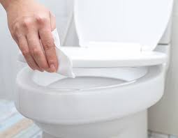 Toilet Seats Should You Leave Them Up