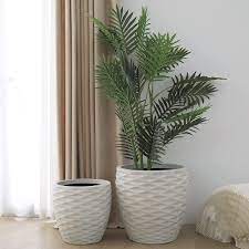 Large Planters To Upgrade Your Plant Game