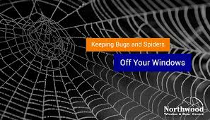 Keeping Bugs And Spiders Off Your