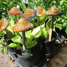 Large Ceramic Garden Mushrooms Colorful