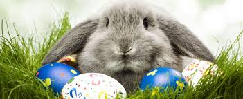 Image result for happy easter 2019