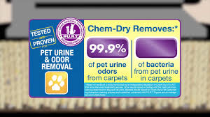 carpet cleaning pet urine removal