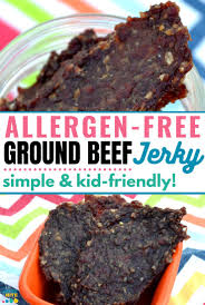 Easy and fast ground beef jerky recipe and method for making great ground jerky. Soy Coconut Free Homemade Ground Beef Jerky Just Take A Bite