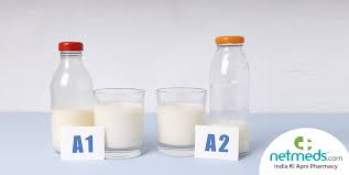 A2 Milk Health Benefits Nutrition And