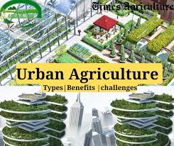 Urban Agriculture Types Benefits And