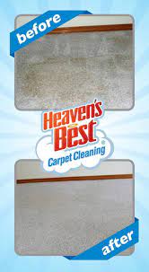 affordable carpet cleaning in birmingham al