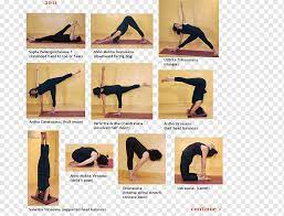 iyengar yoga for beginners an