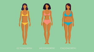 body type t are you an ectomorph
