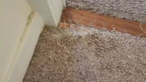 doorway repair carpet repair in austin