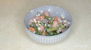 vegetable meal for diabetic dogs