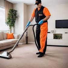 1 in professional carpet cleaning