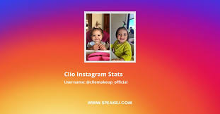 clio insram followers statistics