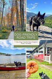 dog friendly ne road trip idea