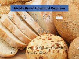 bread mold chemical reaction by viv vu