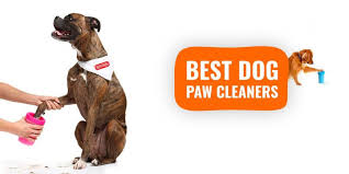 Dog Paw Cleaners Types Buying Guide Reviews Breeding