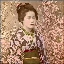 maikoale geisha