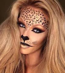 types of cat face makeup you can try