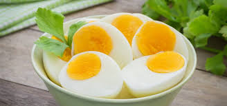 Nutrición: El consumo de huevo no provoca el aumento del colesterol  sanguíneo - MisionesOnline