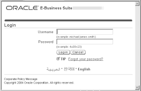 Oracle E Business Suite System