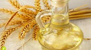 Cutaneous and capillary conditioner and moisturizer. Wheat Germ Oil Benefits Uses For Skin Hair Health Quillcraze