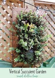 how to build a vertical succulent garden