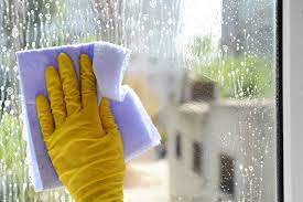 The Best Way To Clean Your Windows