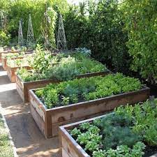 Raised Bed Vegetable Gardening In The