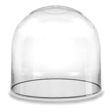 large glass cloche display dome cover