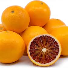 نهال پرتقال خونی تاراکو - نهالستان و گلخانه فروزانی