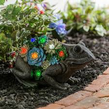 Evergreen Solar Resin Succulent Frog