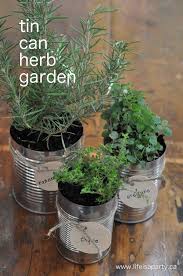 Herb Garden Ideas For Indoor Spaces