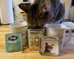 If you have the interest, you can grow your own fresh catnip cat grass* for your kitty to enjoy! Review Pet Winery S Kittea Catnip Tea Bags That Cat Blog