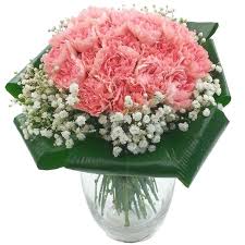 A pretty pink carnations cupcake bouquet has been beautifully designed by the florists giving it an immaculate feminine look. 2 Dozen Pink Carnations Fresh Flower Bouquet 24 Pink Carnation Flowers Hand Arranged With Next Day Delivery