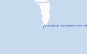 Isla Guadalupe Baja California Norte Mexico Tide Station