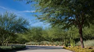 sunnylands center and gardens tours