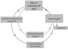 Effects of Aversive Classical Conditioning on Sexual Response in.